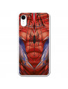 Offizielle Marvel Spiderman Torso iPhone XR Hülle – Marvel