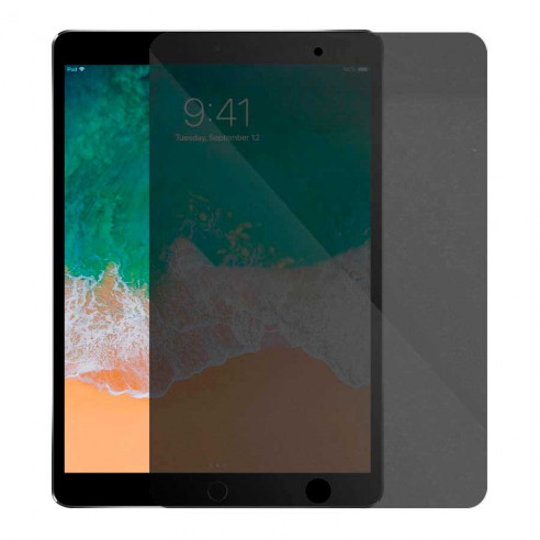 Vollständiges Antispy-Glas für iPad Pro 9.7