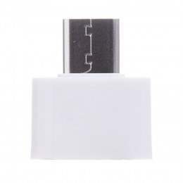 USB-zu-Typ-C-Adapter Weiß