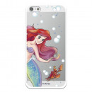 Oficial Disney Little Mermaid și Sebastian Clear iPhone 5 Case